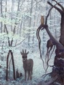 Bambi ja sarvipöllö incognito II, 2010 (© Johanna Kiivaskoski)