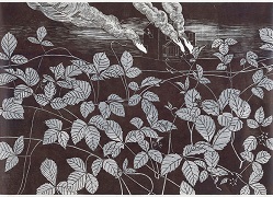(© Johanna Kiivaskoski))