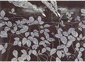 Lillukanvarret (©, Johanna Kiivaskoski) 