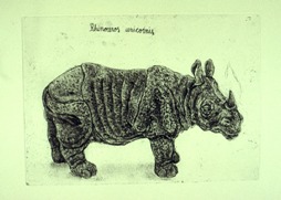 Rhinoceros unicornis (© Johanna Kiivaskoski)